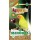 MANITOBA Agapornis Parakeets Love Birds 1kg