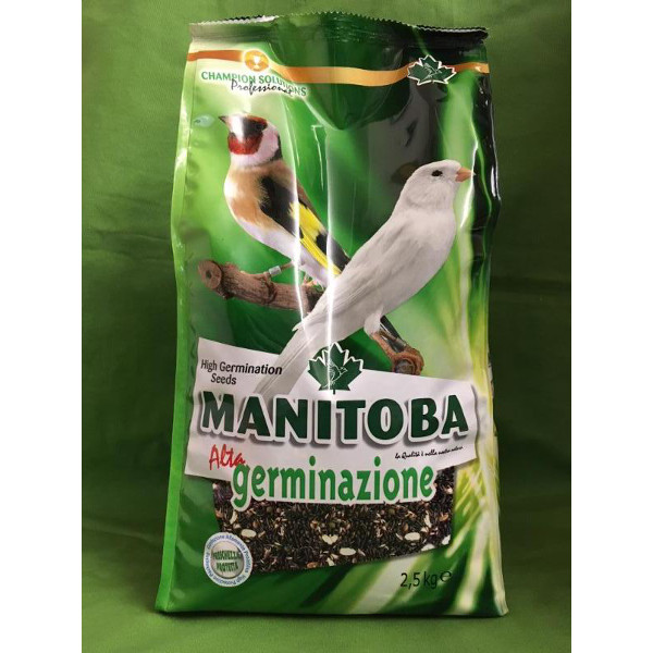 MANITOBA Alta Germinazione 2.5kg ( Σπόροι βλαστώματος)