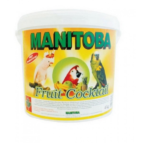 MANITOBA TROPICAL FRUIT COCKTAIL 4KG