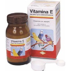 RAFF Σκόνη Vitamina E 100gr