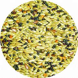 Professional Biscuit Free 20kg